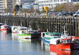 Les pêcheurs s’accordent pour demander l’interdiction des navires de plus de 25 mètres dans les 12 milles.