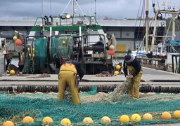 Boulogne : vous cherchez du travail ou une orientation ? Rendez-vous au salon des métiers du bord de mer, ce mardi !