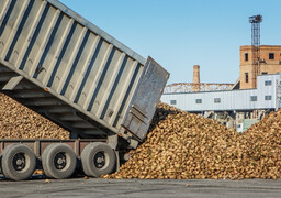 Conchil-le-Temple : face aux excès de vitesse des camions de betteraves, le maire menace de lancer une pétition
