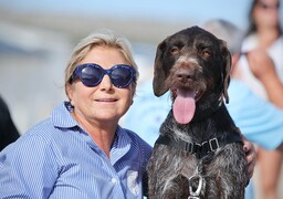 Avec la semaine de Wouf, la ville de Calais veut décrocher le label « Ville Amie des animaux » !