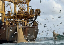 Pêche : les Hauts-de-France votent à l’unanimité pour éloigner les navires de plus de 25 mètres des côtes