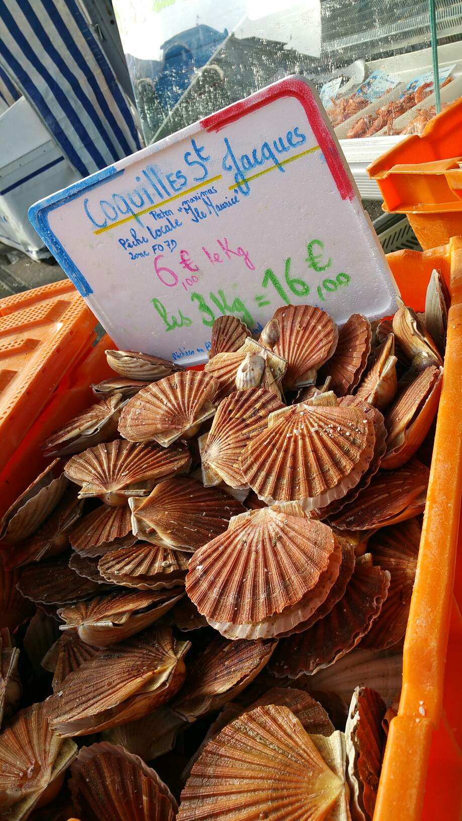 Les premières coquilles Saint Jacques sont arrivées mardi matin au port de Boulogne ! 