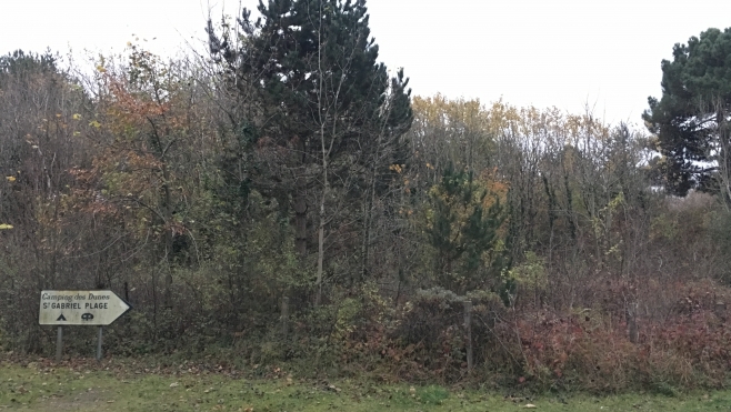 A Camiers, la municipalité soutient un projet d'hôtel sur un espace naturel de Sainte Gabrielle.