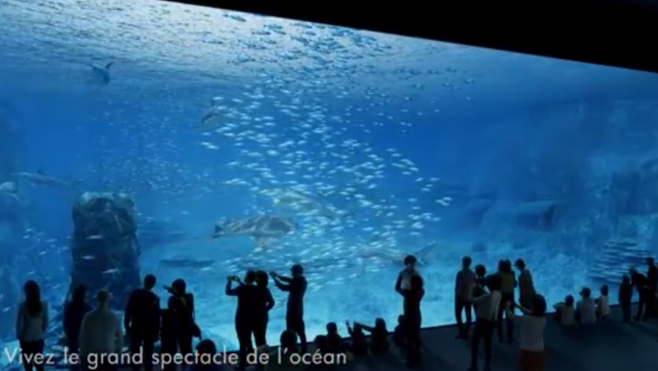VIDEO : découvrez le futur Grand Nausicaa !