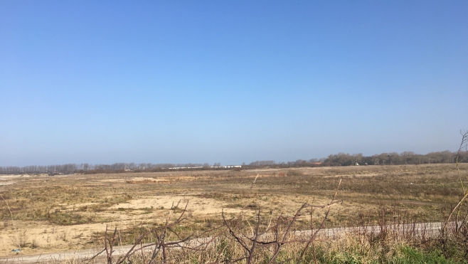 Un pôle équestre sur l'ancienne jungle de Calais ?