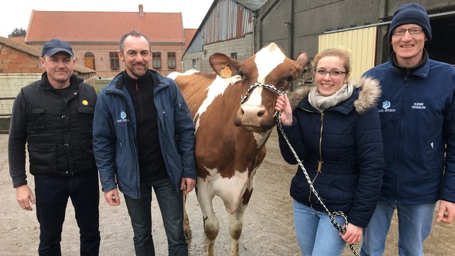 Trois vaches Judy-boy, Huchette et Jolie-Boy s'en vont à Paris !