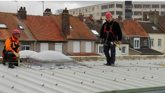 La ville de Boulogne sur mer repart en guerre contre les goélands argentés !