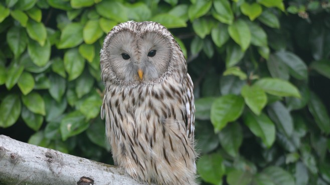 Le parc zoologique Fort-Mardyck-Dunkerque vous propose une expérience extraordinaire