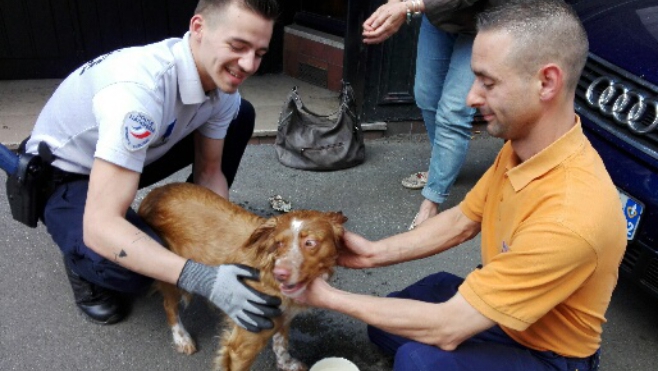 Plus de 25 degrés à Boulogne sur mer, un chien a été sauvé d'une voiture !