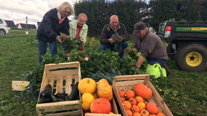 Ardres : récolte du potager citoyen au profit des Restos du Cœur