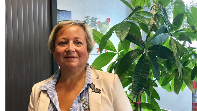 Installation de nouvelles entreprises à Calais.