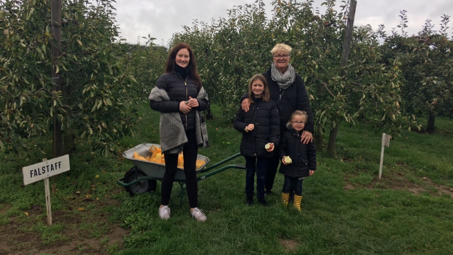 C’est encore la saison des pommes au Verger de la Beussingue à Peuplingues