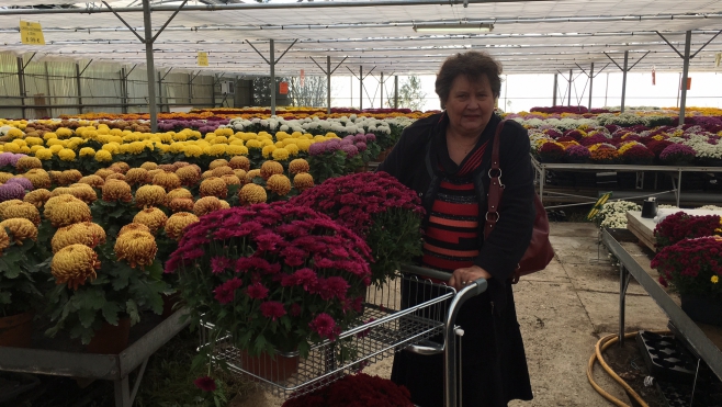 La pomponnette, une tradition de la Toussaint en pleine mutation