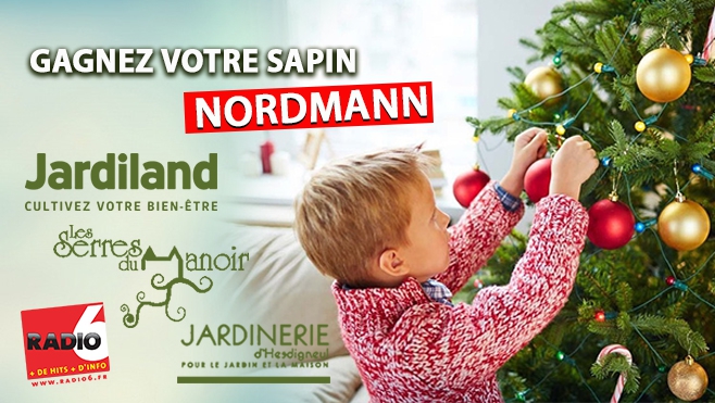 Gagnez votre sapin Nordmann en jouant avec Radio 6