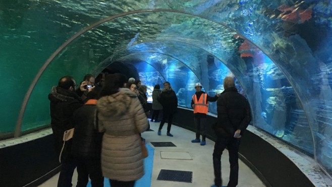 Le Grand Nausicaà créé l’émerveillement chez les professionnels du tourisme !