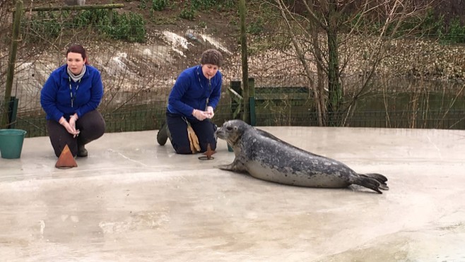 Passez une journée avec un soigneur du Zoo de Fort-Mardyck !