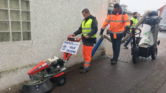 Etaples: l'amende pour déjections canine passe à 335 euros