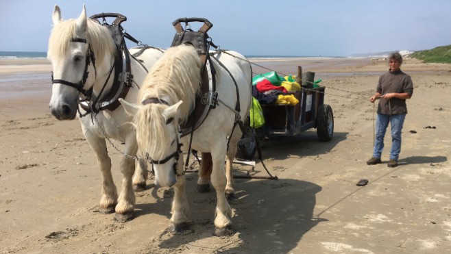 Une tonne de déchets sur la plage de Dannes !