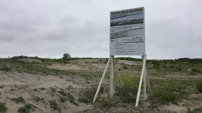 Renaturation de l’ancienne « jungle » de Calais
