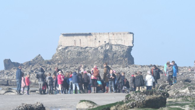 Le fort de l'Heurt à Le Portel est une moulière naturelle !