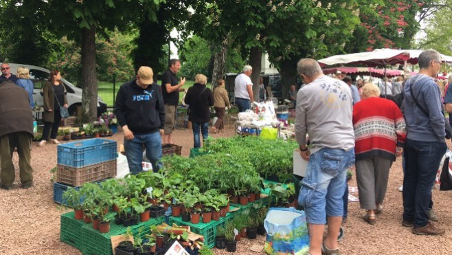 Ne manquez pas le marché d'Audruicq