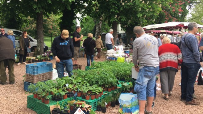 Ne manquez pas le marché d'Audruicq 