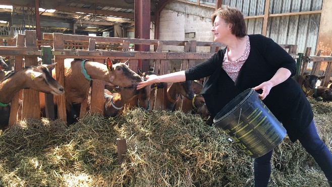 Le Chèvremarie, une chèvrerie où l’on fabrique de délicieux fromages