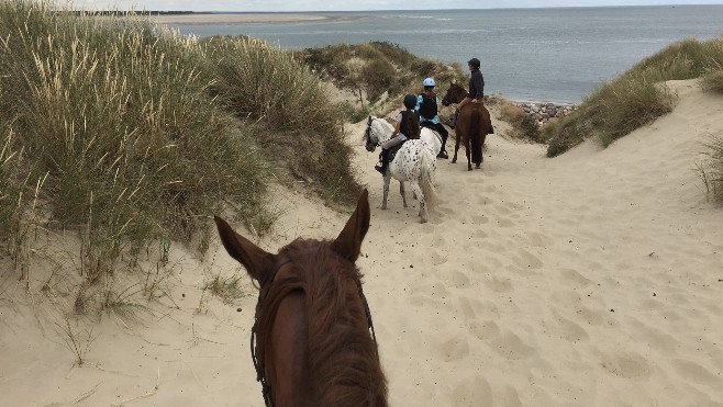 Balade à cheval en Baie d'Authie 