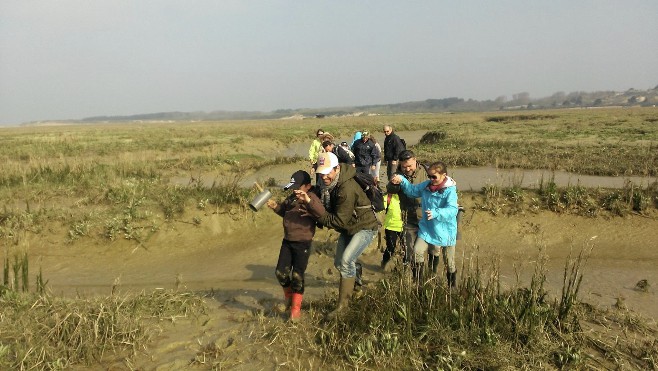 Des balades découvertes en Baie d'Authie