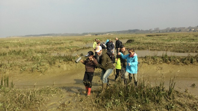 Des balades découvertes en Baie d'Authie 