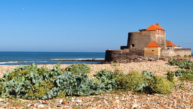 Balade dans les Dunes de la Slack.