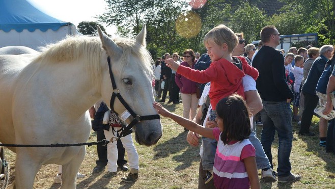 La fête du Parc se déroule dimanche Plaine d’Houlouve à Wimille !