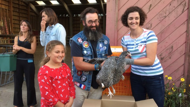 A Dunkerque, une centaine de poules distribuée à des familles !