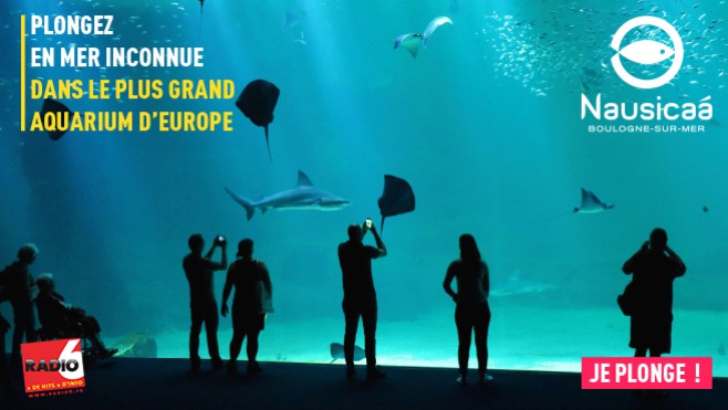 Plongez dans le plus grand aquarium d'Europe... Radio 6 vous invite à Nausicaa