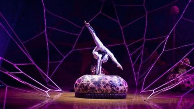 OVO, le spectacle inédit du Cirque du Soleil présenté à Lille