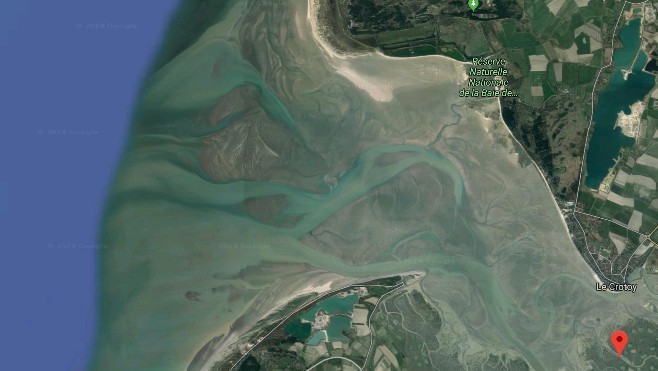 Baie de Somme: 80% de poissons en moins en 30 ans 