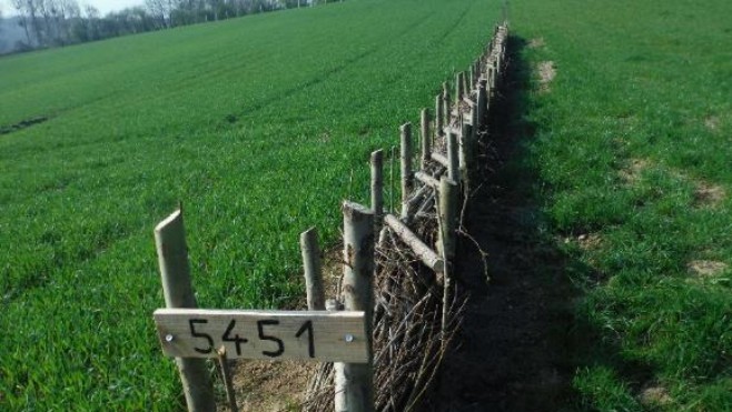 Haut-Pays du Montreuillois: 3ème phase de travaux pour lutter contre le ruissellement et l'érosion des sols