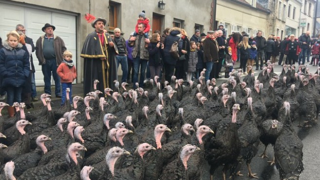 Succès de la fête de la dinde à Licques.