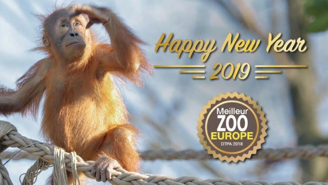 Pairi Daiza recrute