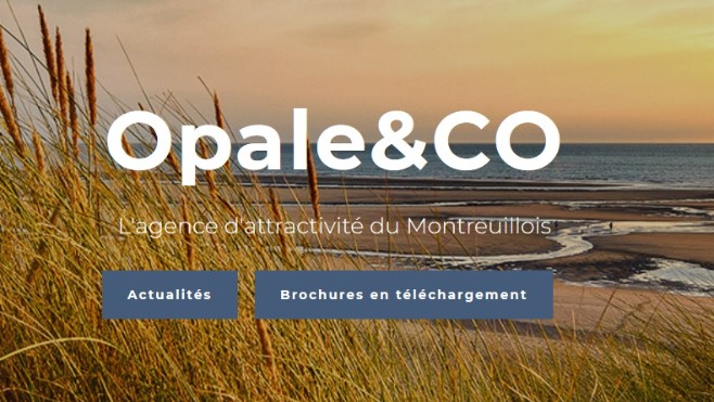 Montreuillois: à quoi sert l'agence d'attractivité Opale & Co ?