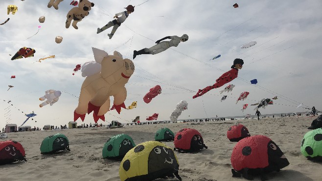 Des centaines de milliers de visiteurs pour les Rencontres Internationales de Cerfs-Volants