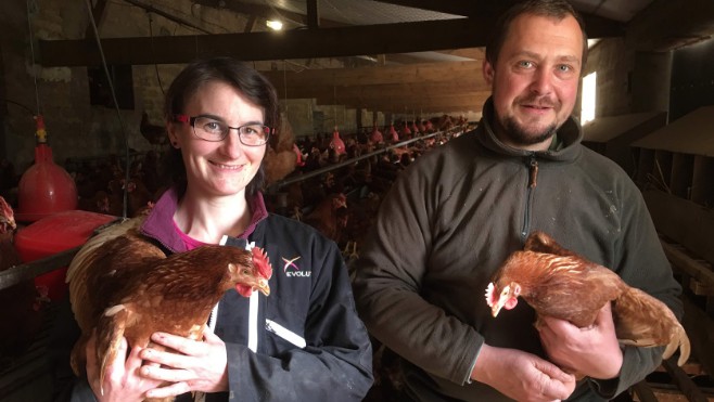 Aidez à la création d’une filière courte de ventes d’œufs bio à la ferme !