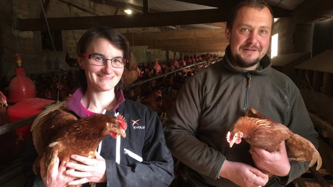 Aidez à la création d’une filière courte de ventes d’œufs bio à la ferme !