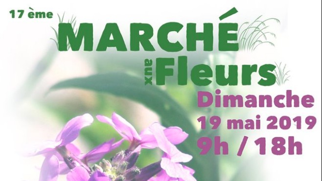 Sangatte : marché aux fleurs dimanche avec plus d’exposants