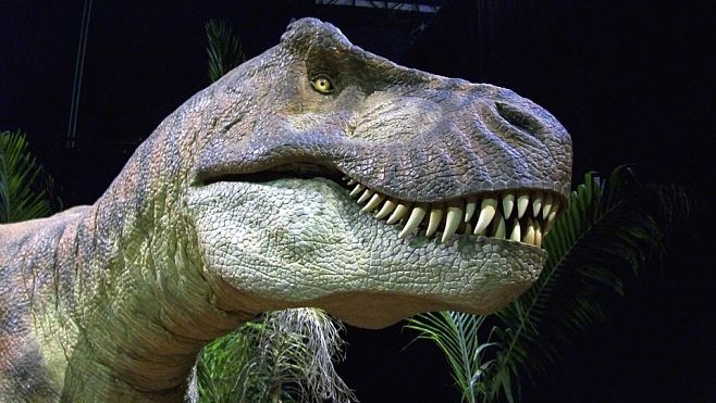 Les Dinosaures envahissent Calais