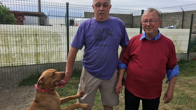 Mowgli peut être adopté à la SPA du Boulonnais.