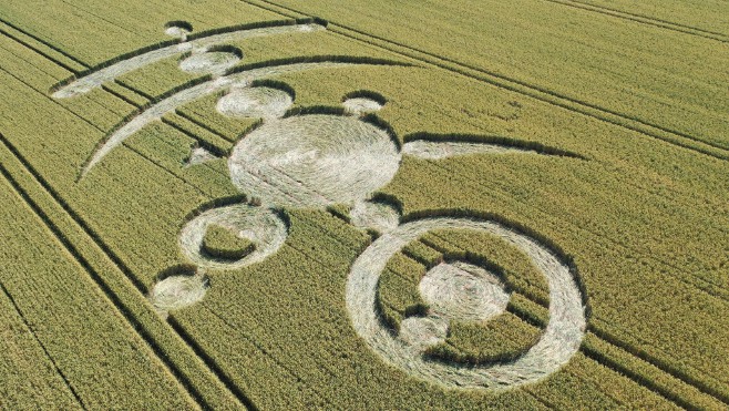 Un crop circle est apparu dans un champ à Nielles-Les-Ardres !