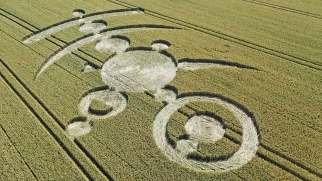 Un crop circle est apparu dans un champ à Nielles-Les-Ardres !