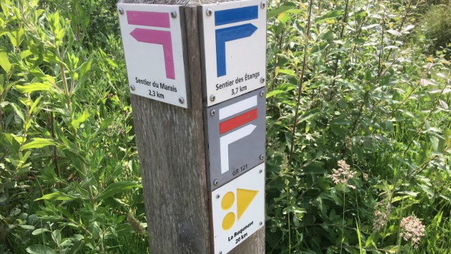 A Condette, le marais boisé vous enchantera...