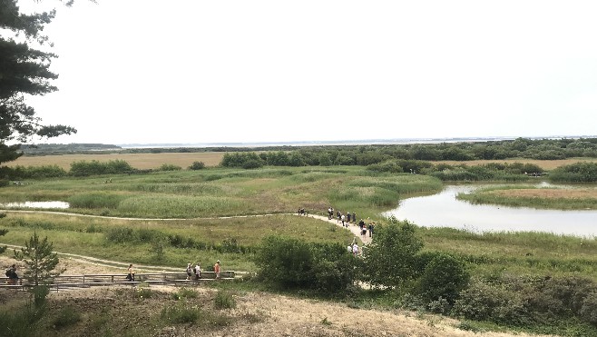 Découverte du Parc du Marquenterre